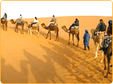 Camel Safari in Rajasthan, Rajasthan Tours