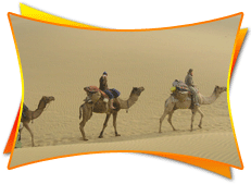 Rajasthan Desert Festival Tour Packages
